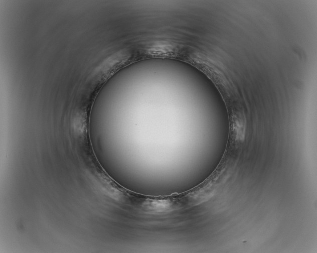 X0000111880665200907231536