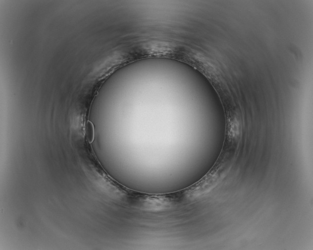 X0000111880666200907231536
