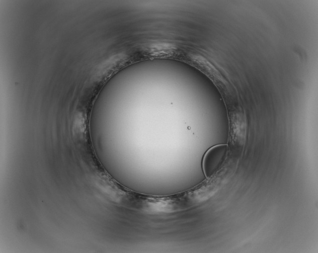 X0000111880667200907231536