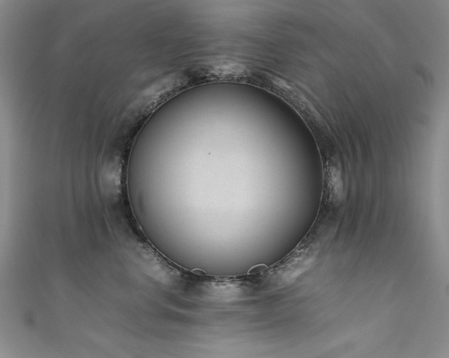 X0000111880668200907231536