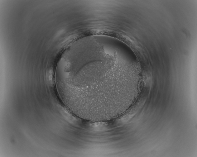X0000111880670200907231536