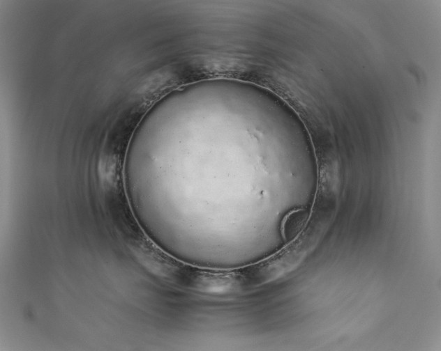 X0000111880671200907231536