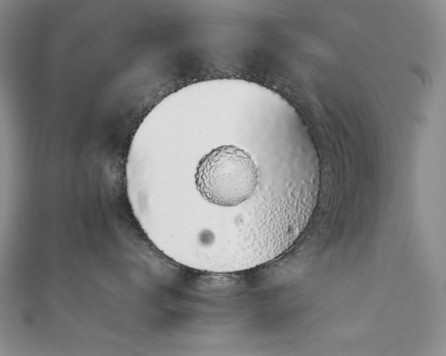X0000111880672200907231536
