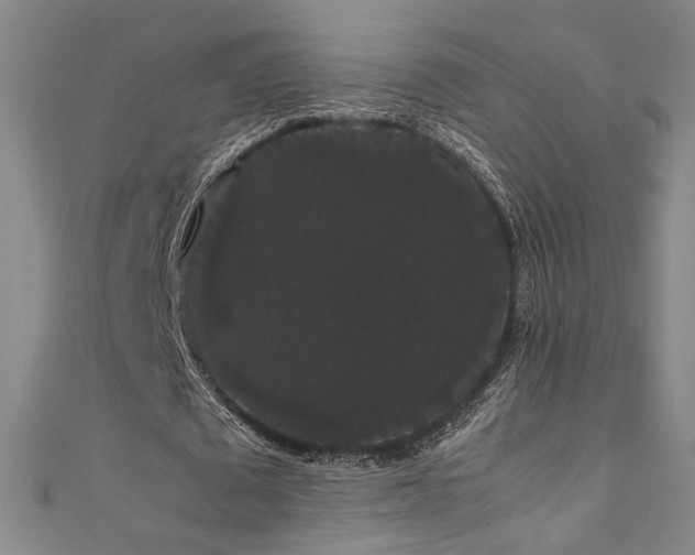 X0000111880673200907231536