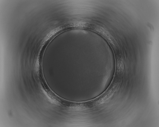 X0000111880674200907231536