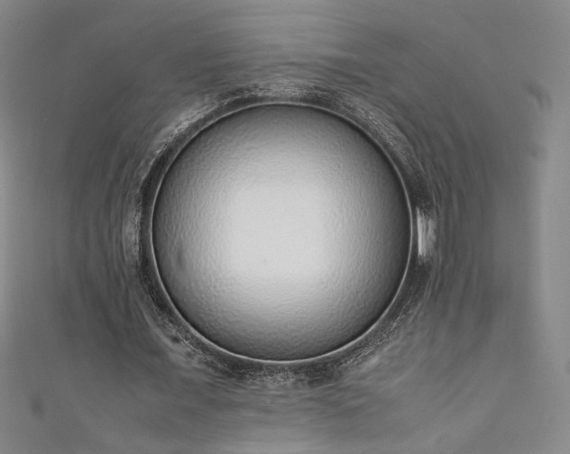 X0000111880675200907231536