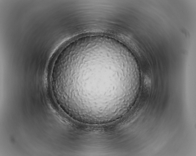 X0000111880676200907231536