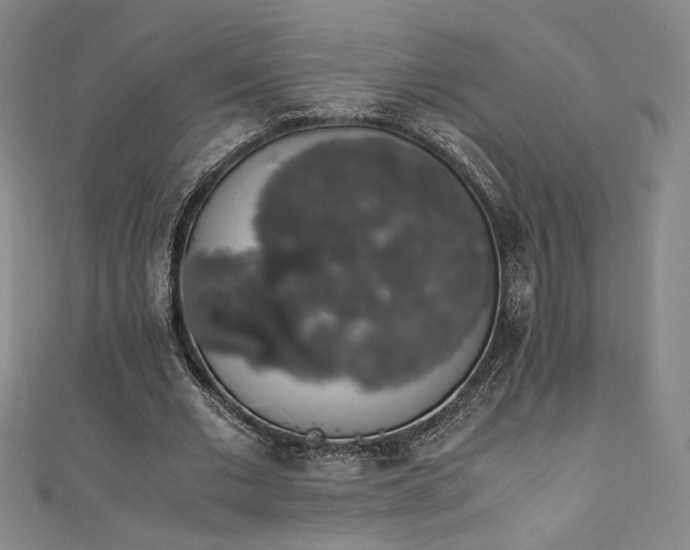 X0000111880677200907231535