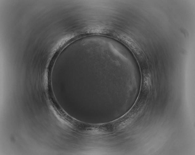 X0000111880678200907231535