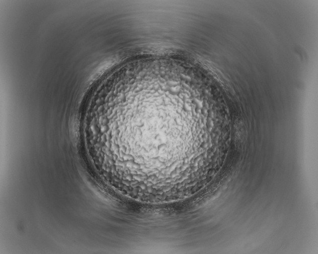 X0000111880679200907231535