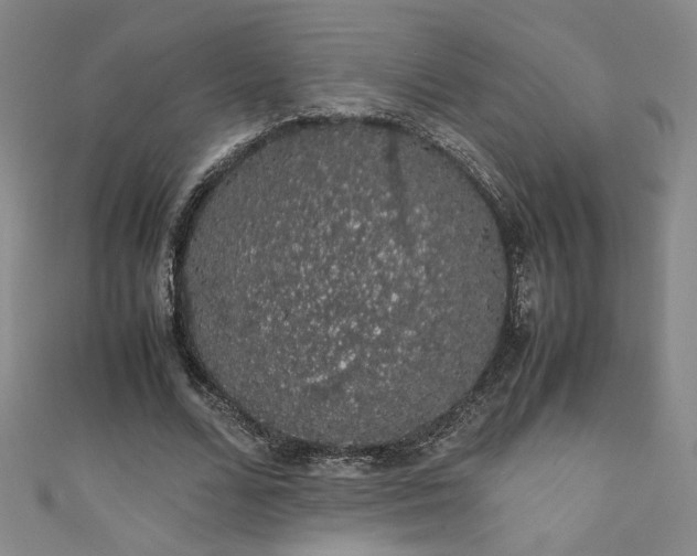 X0000111880680200907231535
