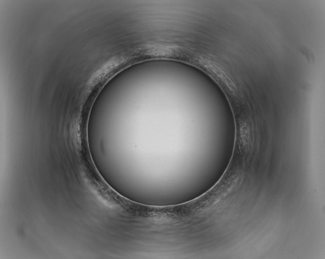 X0000111880682200907231535