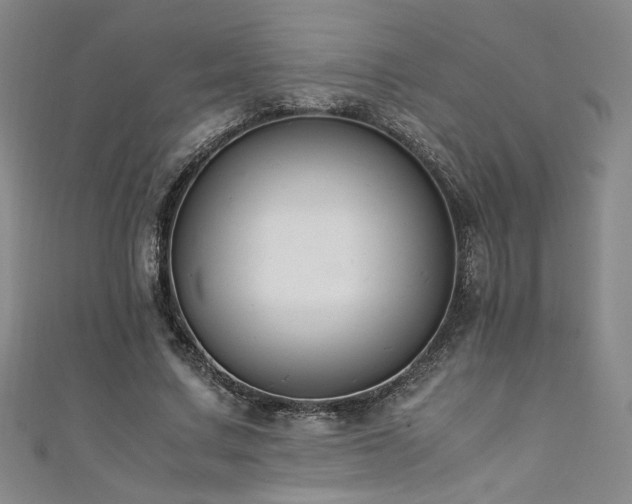 X0000111880683200907231535