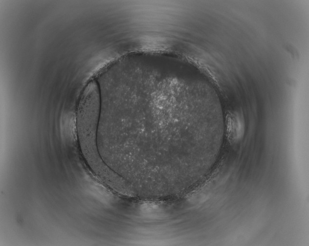 X0000111880684200907231535