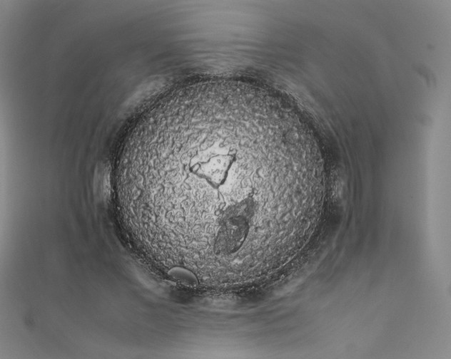 X0000111880685200907231535