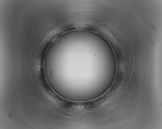 X0000111880687200907231535