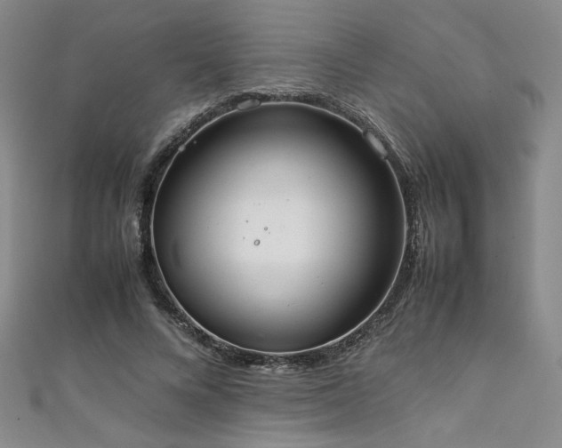 X0000111880688200907231535