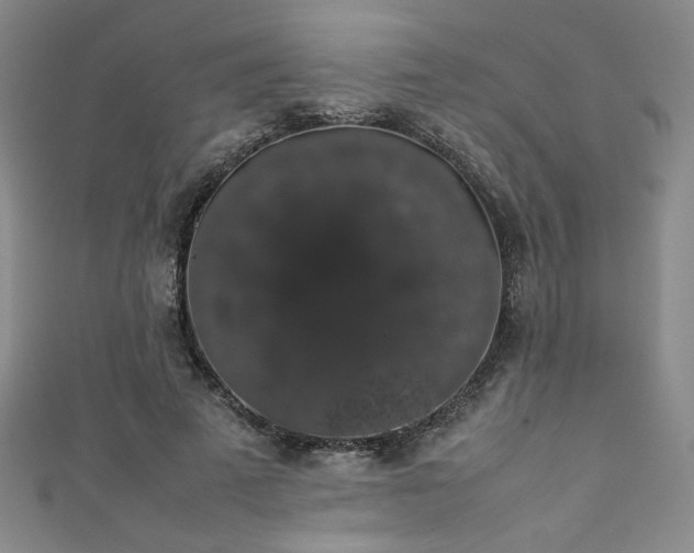 X0000111880689200907231535