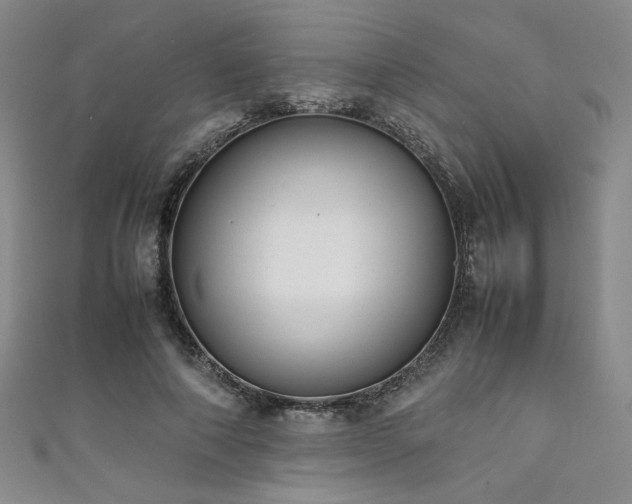 X0000111880690200907231535