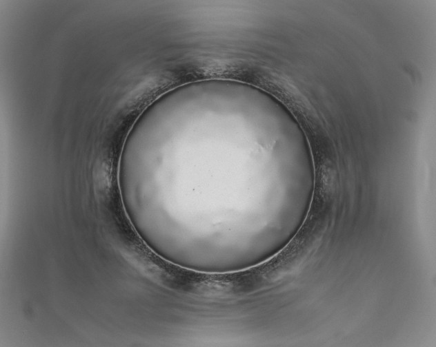X0000111880691200907231535