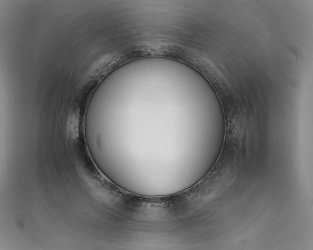 X0000111880694200907231535