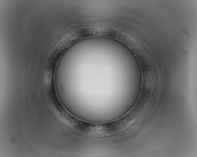 X0000111880695200907231535