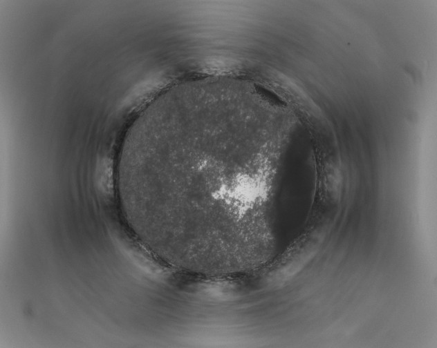 X0000111880696200907231535