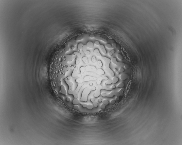 X0000111880700200907231535