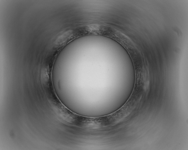 X0000111880702200907231535
