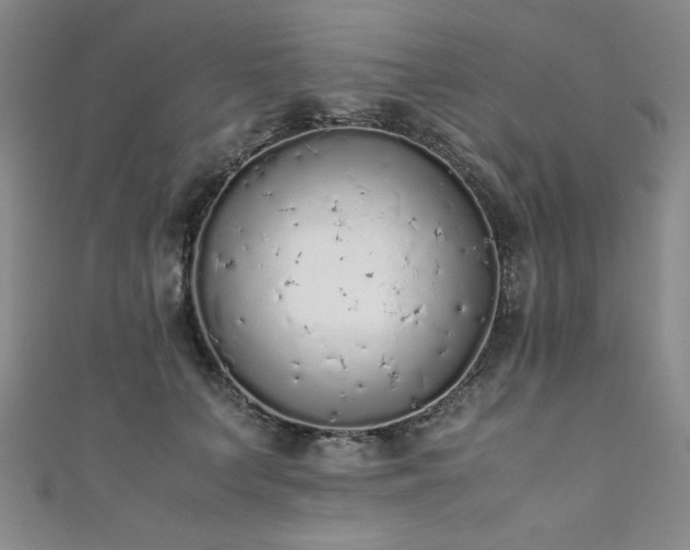 X0000111880703200907231535