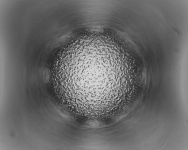 X0000111880704200907231535
