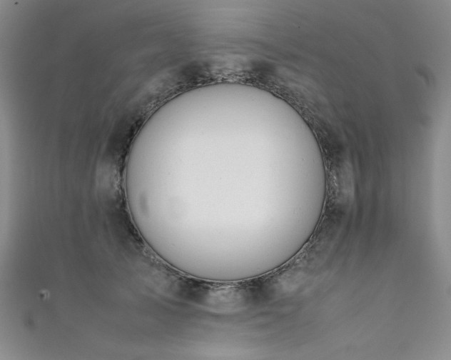 X0000111880705200907231535