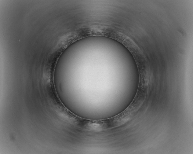 X0000111880706200907231535