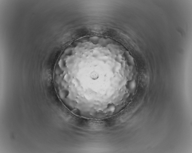 X0000111880707200907231535