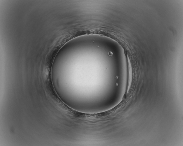 X0000111880709200907231535