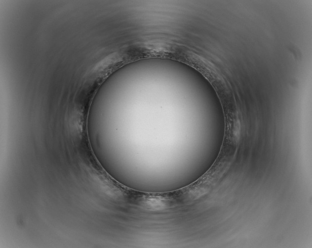 X0000111880710200907231535