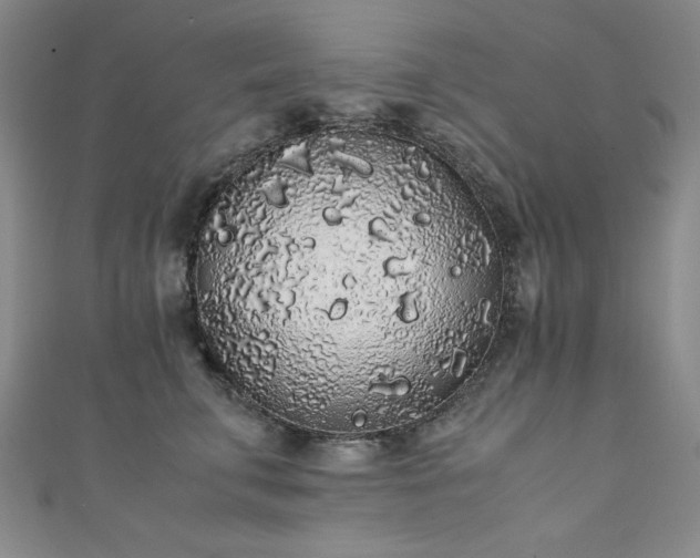 X0000111880711200907231535