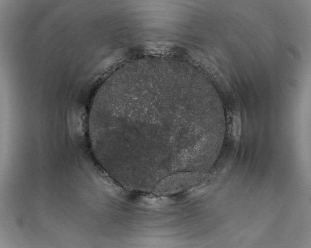 X0000111880712200907231535