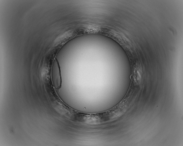 X0000111880714200907231535