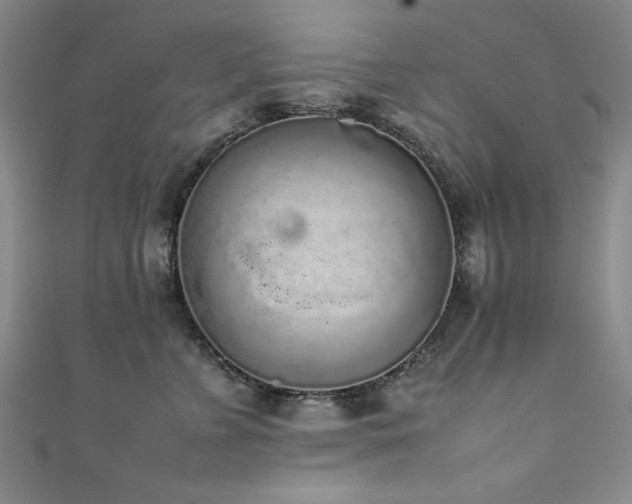 X0000111880715200907231535