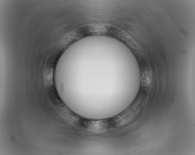 X0000111880717200907231535