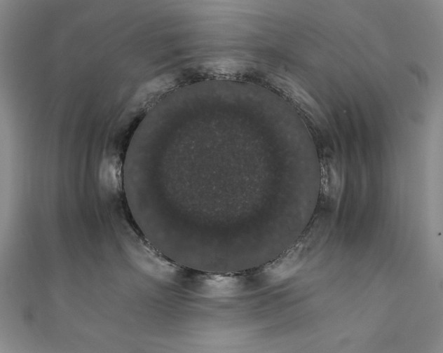 X0000111880718200907231535
