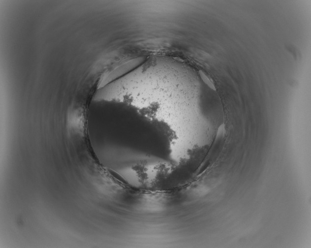 X0000111880720200907231535