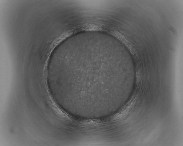 X0000111880721200907231534