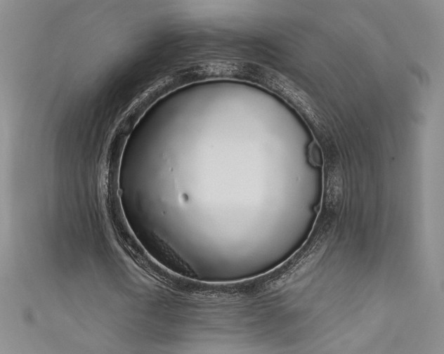 X0000111880722200907231534