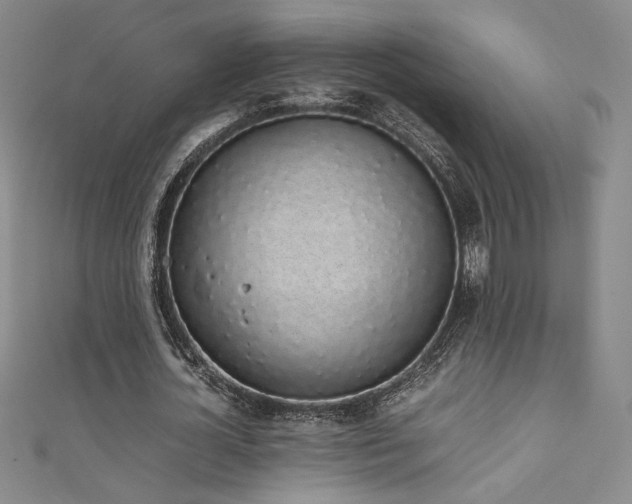 X0000111880724200907231534