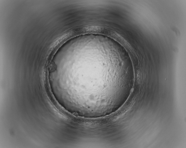 X0000111880725200907231534