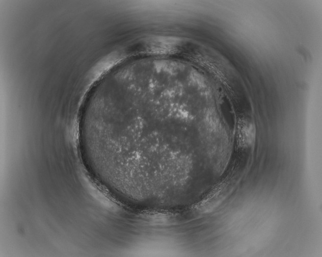X0000111880726200907231534
