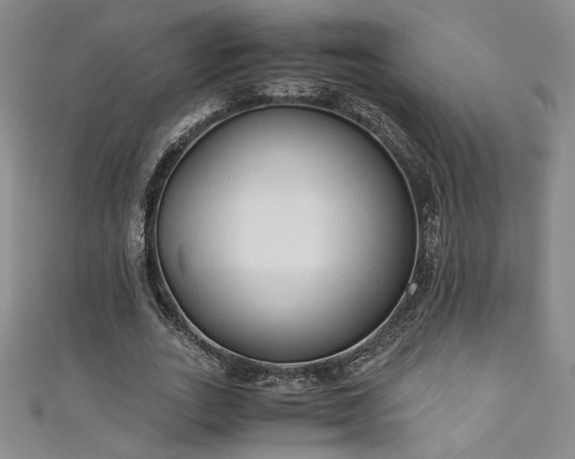 X0000111880727200907231534