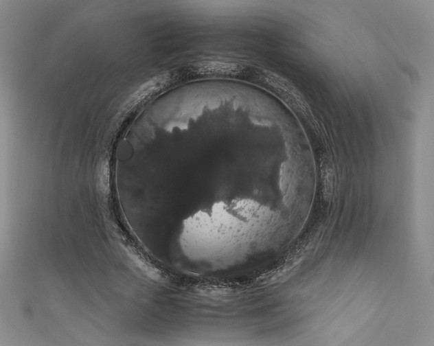 X0000111880729200907231534